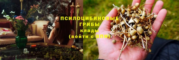 PSILOCYBIN Бугульма